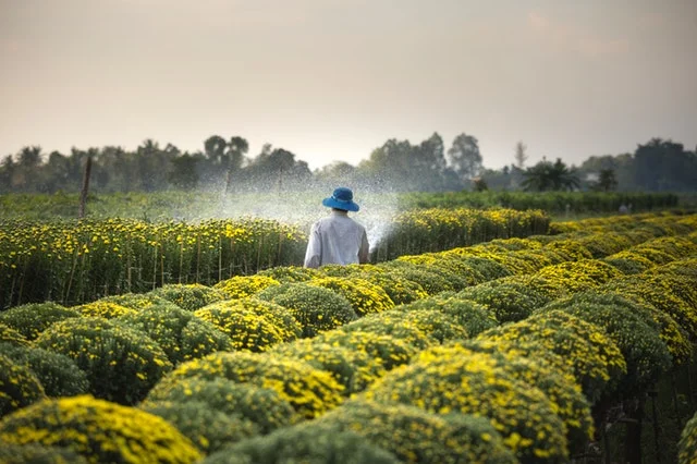 Farmer working to improve agriculture industry.